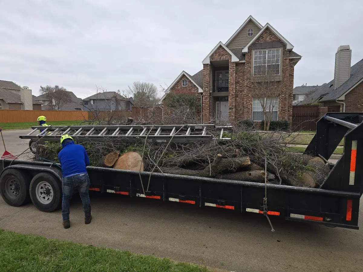 Expert Tree Removal with proper safety equipment in Yellow Springs